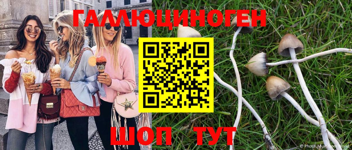 Галлюциногенные грибы GOLDEN TEACHER Искитим